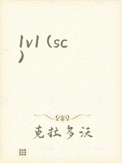 1v1 (sc)