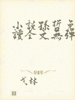 小说孙哲免费阅读全文无弹窗封面
