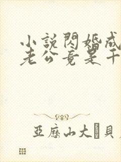 小说闪婚成宠,老公竟是千亿大佬