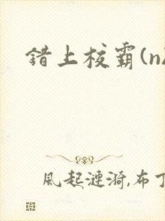错上校霸(n)