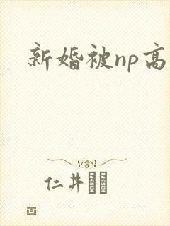 新婚被np高h封面