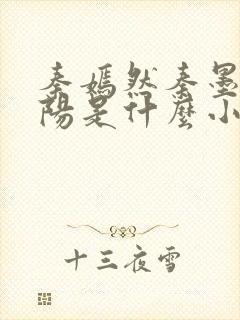 书籍封面