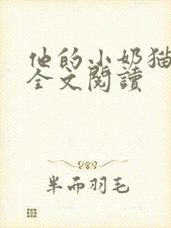他的小奶猫小说全文阅读封面