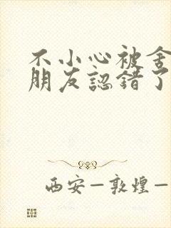 不小心被舍友男朋友认错了小说
