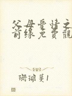 父母爱情之再续前缘免费观看全集高清