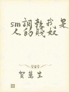 sm调教我是主人的贱奴封面