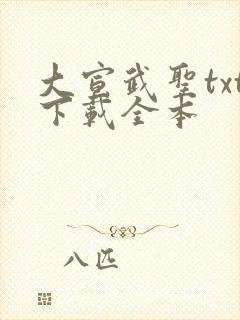 大宣武圣txt下载全本