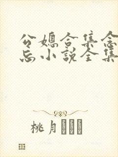 公媳合集念念不忘小说全集免费阅读