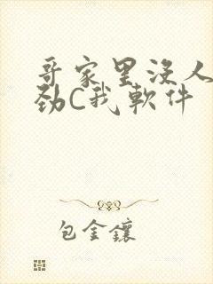 哥家里没人使点劲C我软件