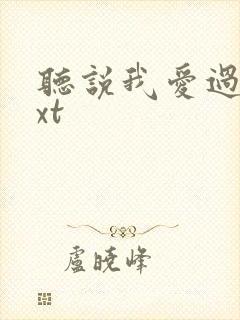 听说我爱过你txt