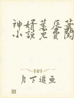 神婿叶辰萧初然小说免费阅读