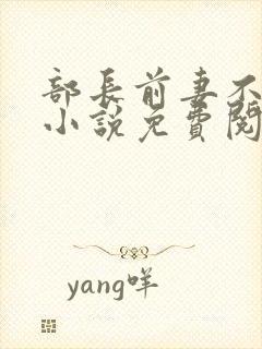 部长前妻不承欢小说免费阅读