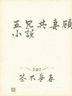 五兄共妻顾心儿小说