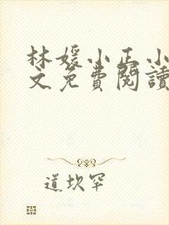 林媛小正小说全文免费阅读封面