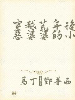 穿越荒年后我成恶婆婆的小说免费阅读
