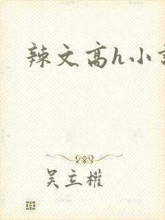 辣文高h小说