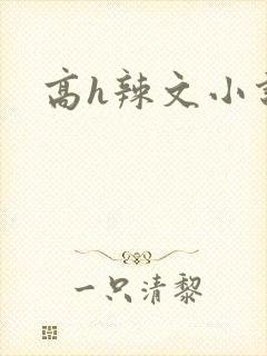 高h辣文小说