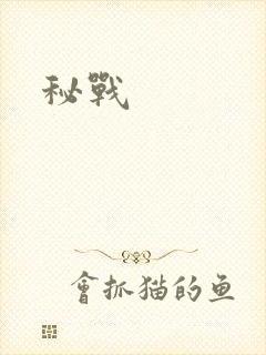 秘战