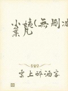 小姨(无删减)叶凡