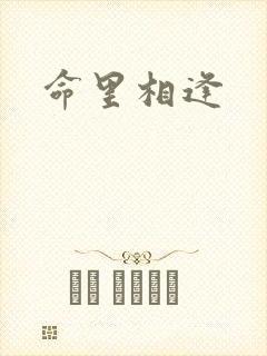 命里相逢