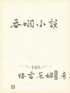 吞咽小说