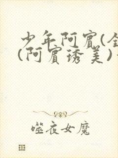 少年阿宾(全)(阿宾琇美)番外+大结局小说