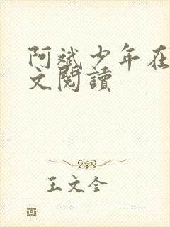 阿斌少年在线全文阅读