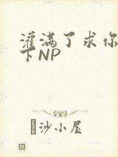 灌满了求你们停下NP封面