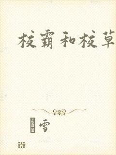 校霸和校草封面