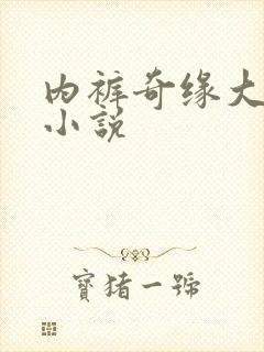 内裤奇缘大团结小说