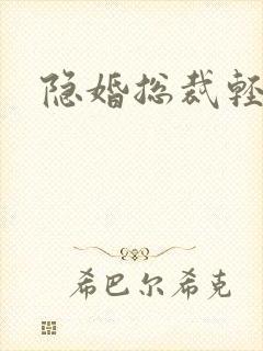 隐婚总裁轻一点封面