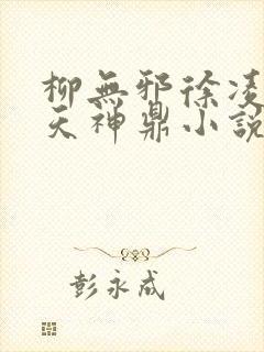 柳无邪徐凌雪吞天神鼎小说在线阅读