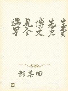 遇见傅先生叶繁星全文免费阅读封面
