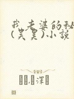我老婆的秘密 (吴昊)小说