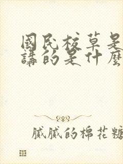 国民校草是女生讲的是什么