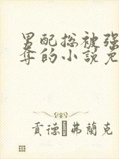 男配总被强取豪夺的小说免费阅读