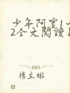少年阿宾1～72全文阅读目录