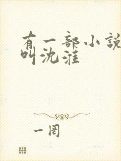 有一部小说主角叫沈淮