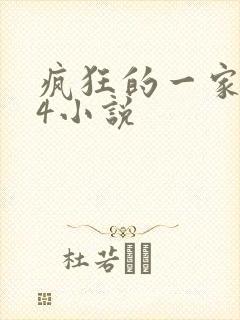 疯狂的一家ps4小说