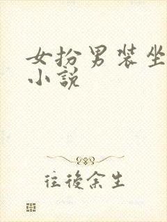 女扮男装坐江山小说