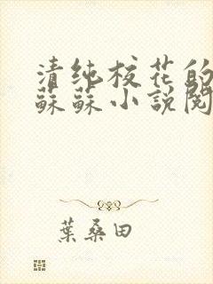 清纯校花的日常苏苏小说阅读全文
