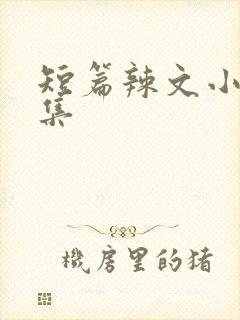 短篇辣文小说合集封面