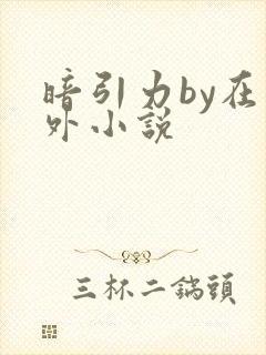 暗引力by在言外小说