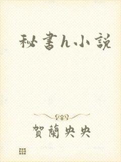 秘书h小说