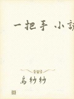 一把手 小说