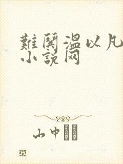 难哄温以凡桑延小说网封面