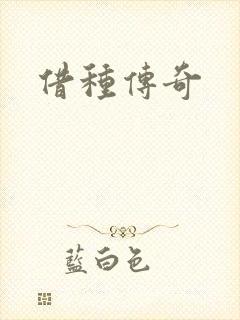 借种传奇封面