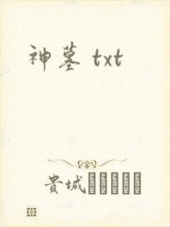 神墓 txt封面