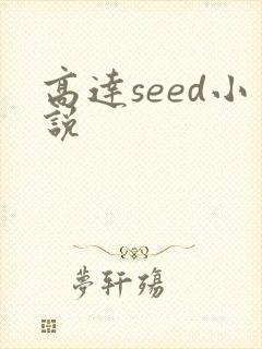 高达seed小说封面