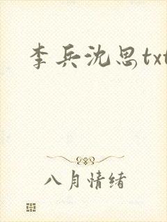 李兵沈思txt